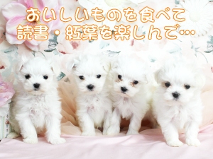 １０月になりました！
